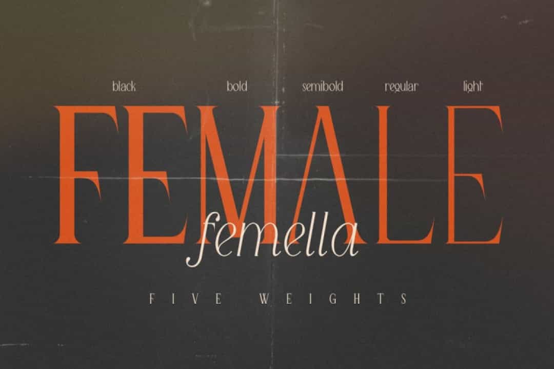Queen Serif Font Image 2
