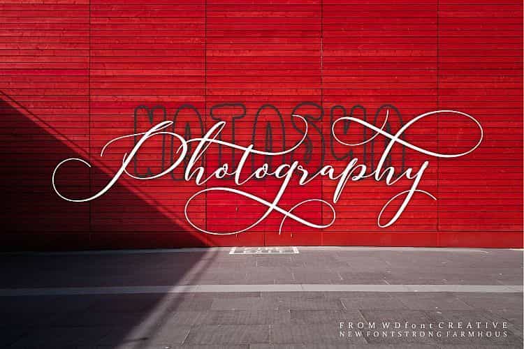 Strong Farmhouse Font Duo Image 2