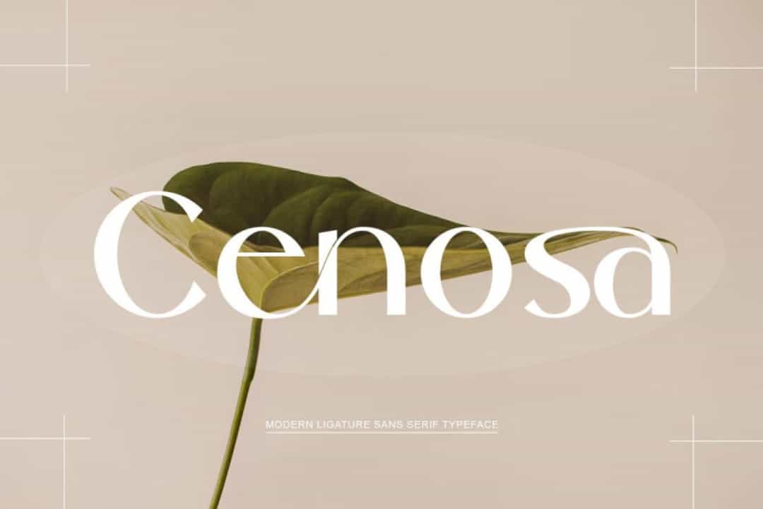Cenosa Font Image 1