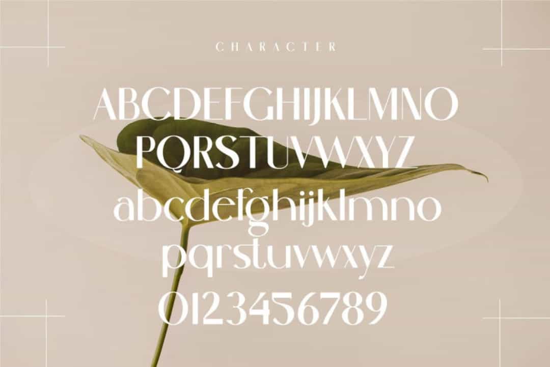 Cenosa Font Image 2