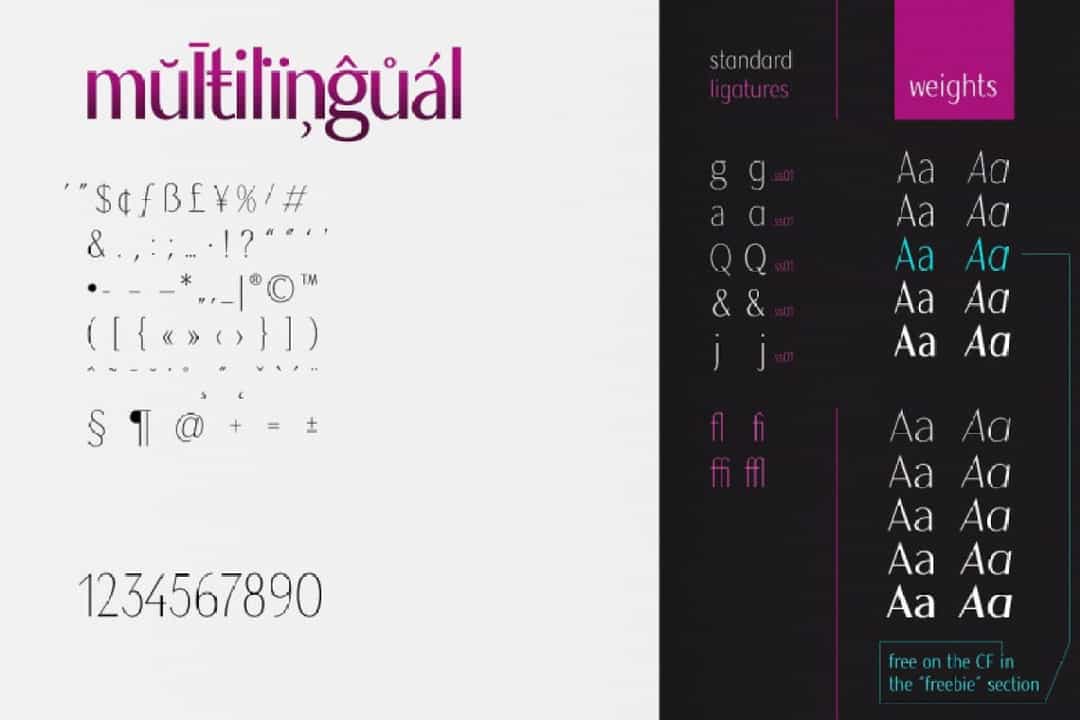 Magnisa Sans Font Image 3