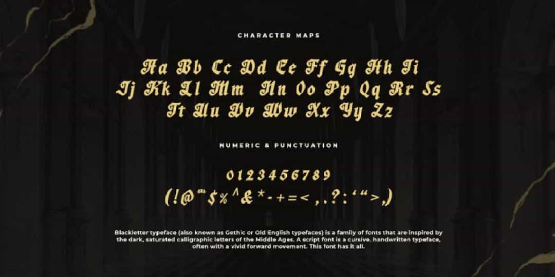 Wardshus Calligraphy Font Image 3