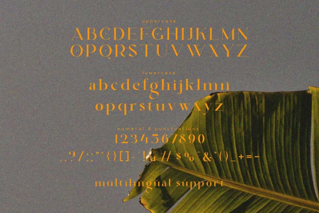 Qarkine Font Image 3