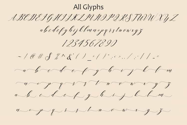 Last Night Script Font Image 3