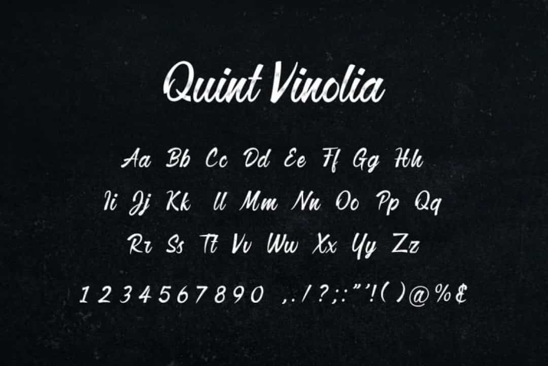 Quint Vinolia Font Image 3