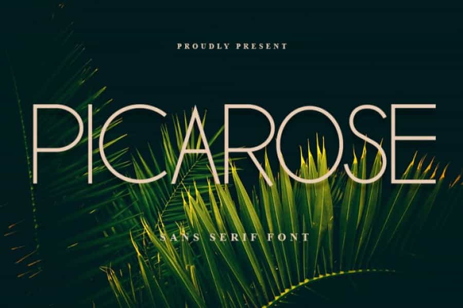 Picarose Font Image 1