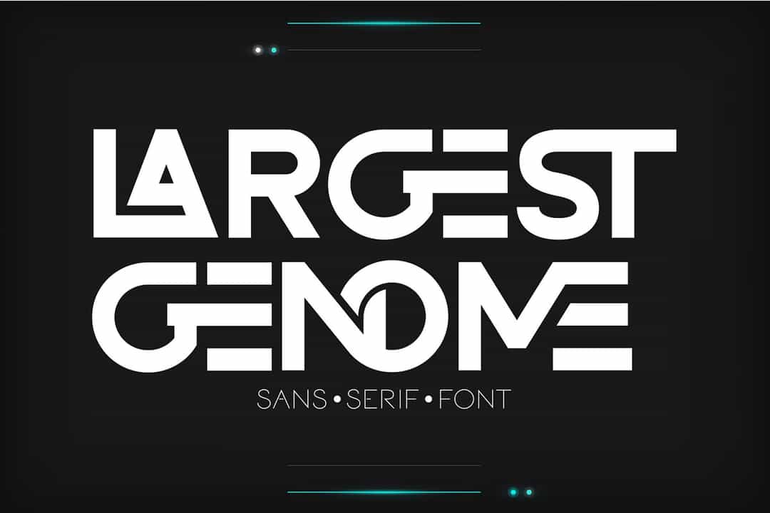 Largest Genome Font Image 1