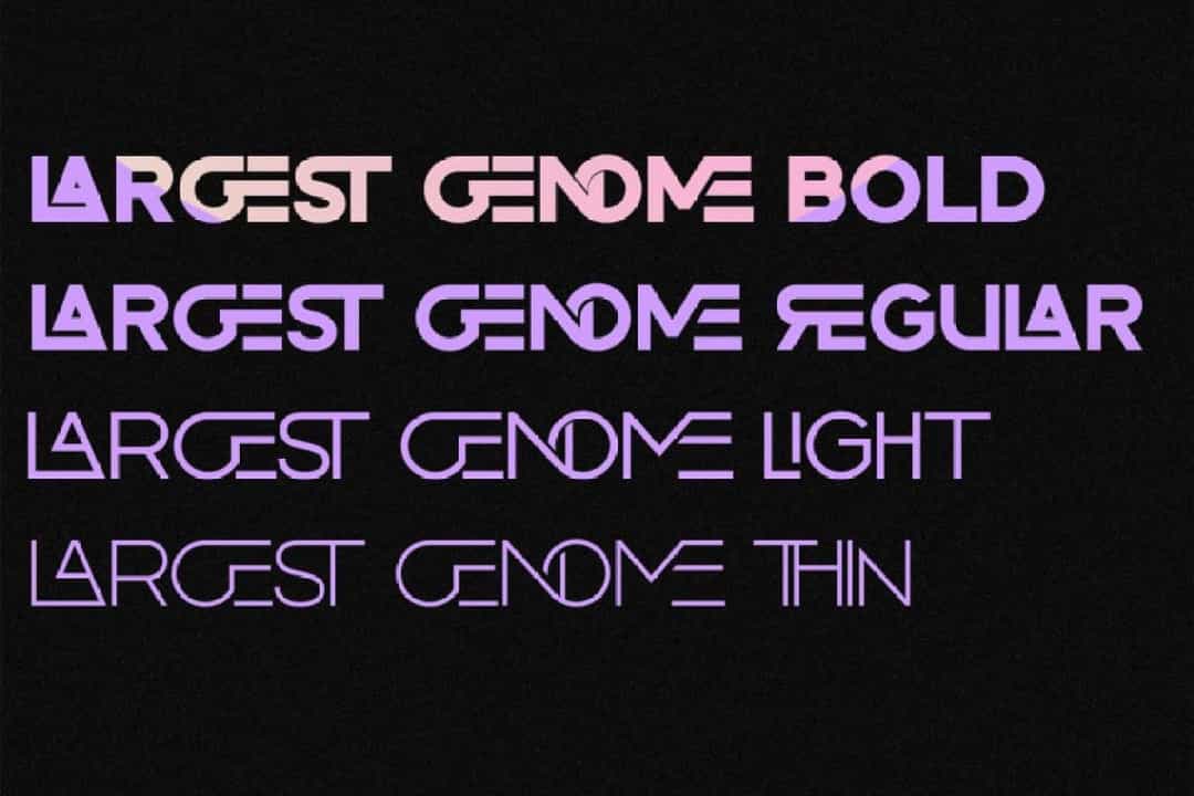 Largest Genome Font Image 3