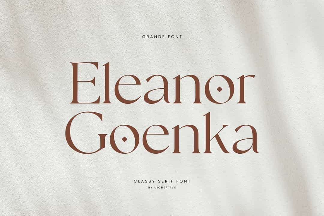 Eleanor Goenka Font Image 1