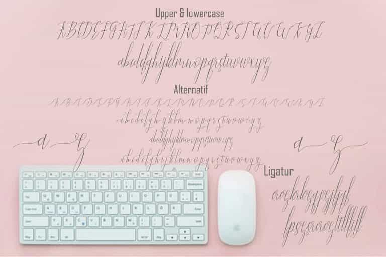 Jelisa Script Font Image 3