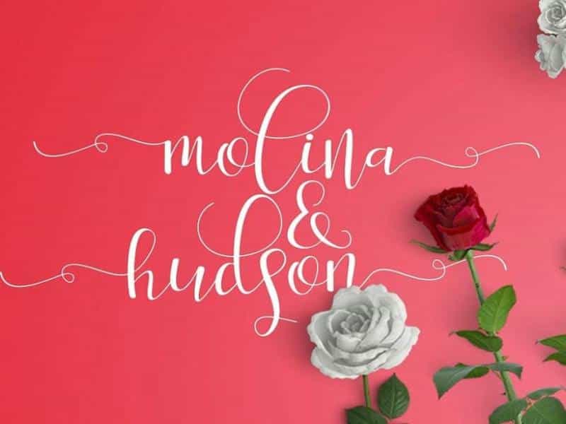 Salita Script Font Image 3