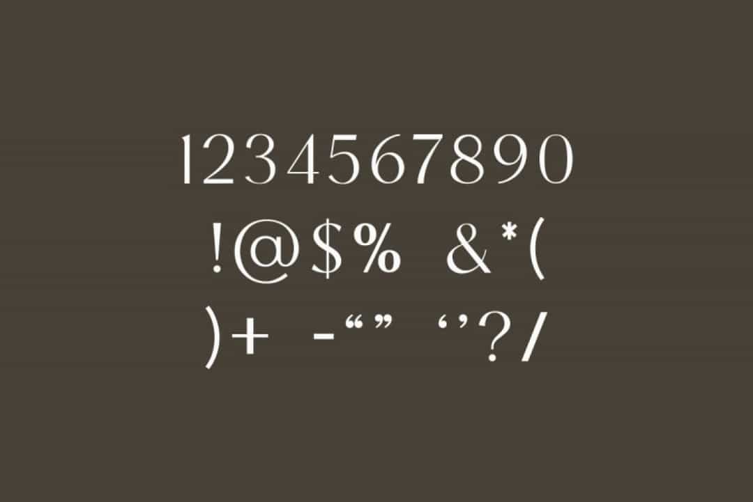 Facelio Font Image 4