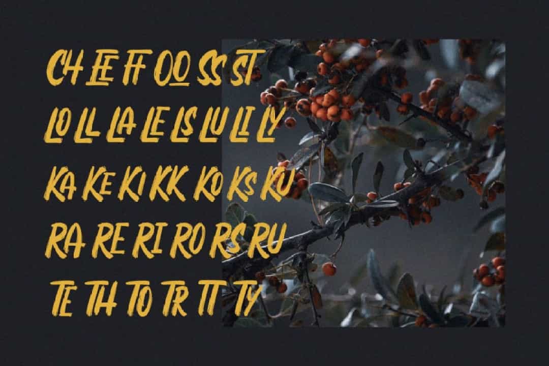 Rogersan Font Image 2