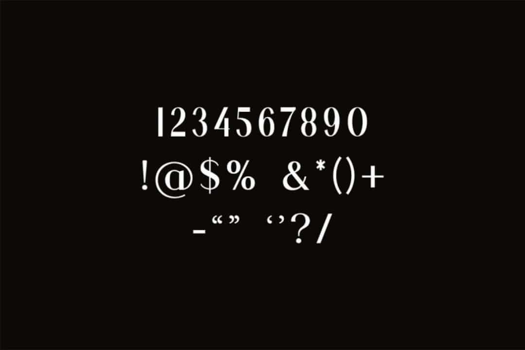 Salvager Font Image 3