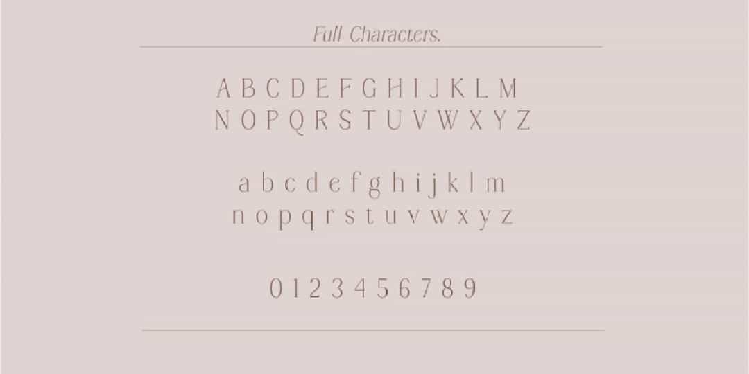 Windstone Serif Font Image 2