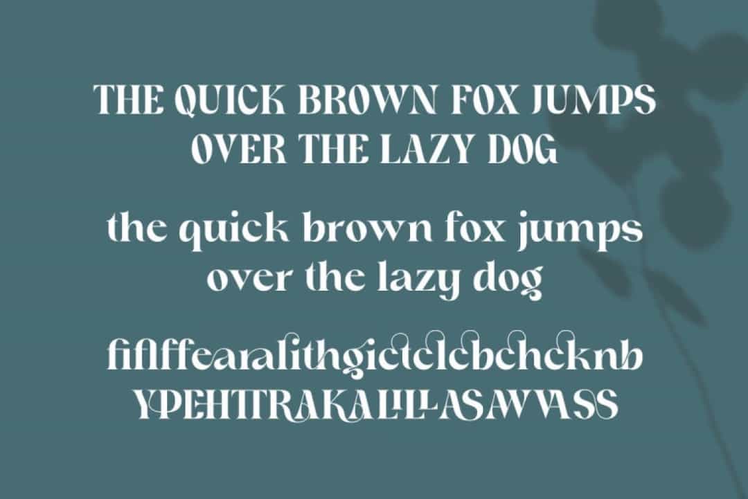 Bargim Font Image 2