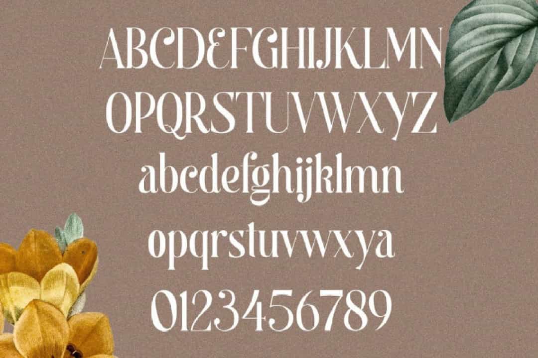 Begova Font Image 3