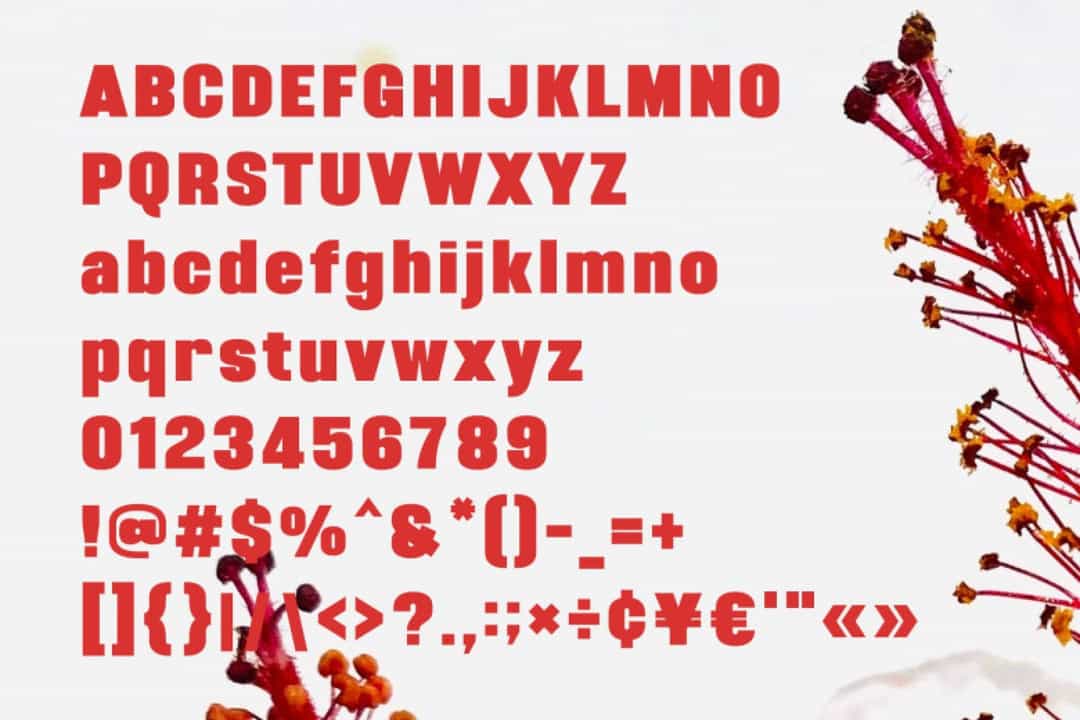 Miland Font Image 3