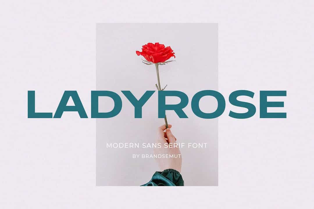 Ladyrose Font Image 1