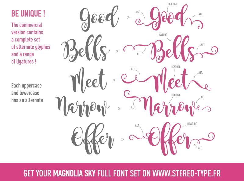 Magnolia Sky Font Free Image 2