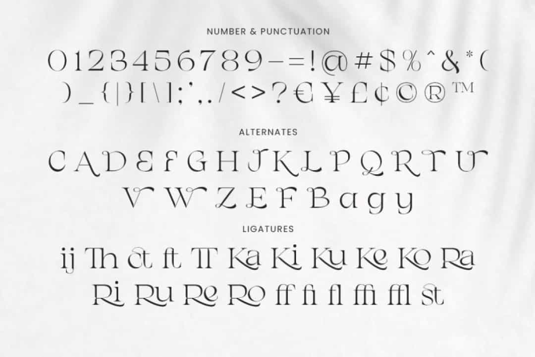 Chanceux Font Image 3