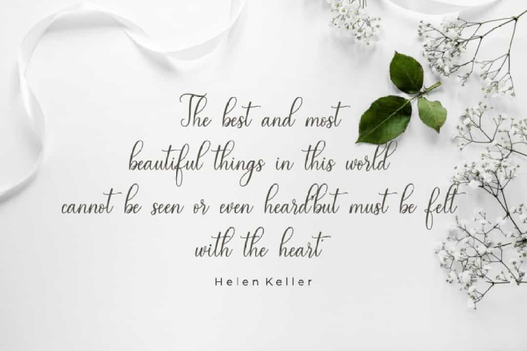 Magnolia Font Image 3