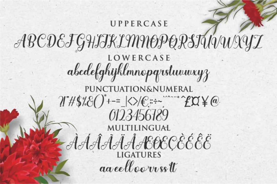 Delisha Vegan Font Image 3