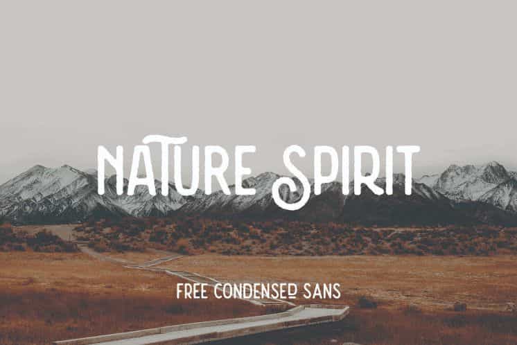Nature Spirit Vintage Font Image 1