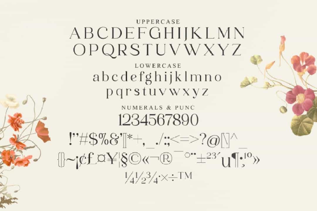 Mofaze Del Monte Font Image 3