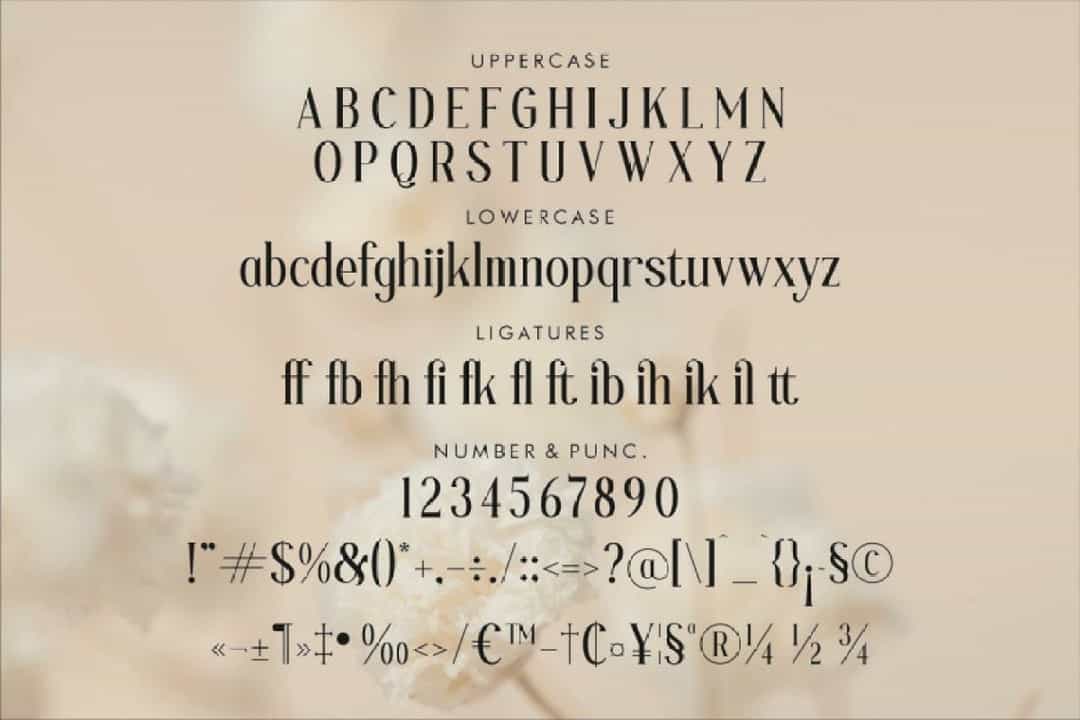 Blafhy Glibs Font Image 3