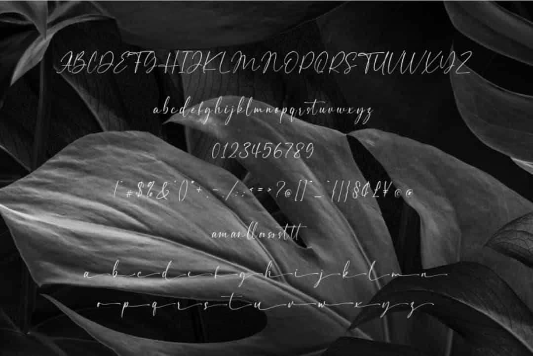 Andaman Font Image 3