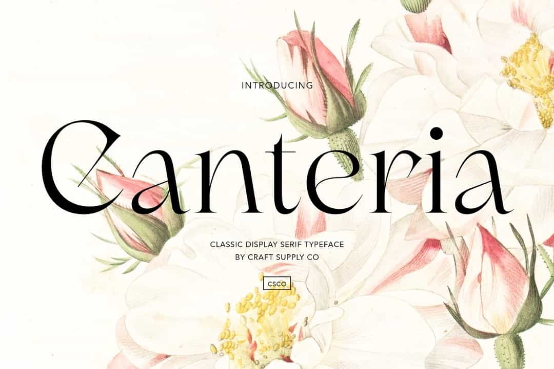 Canteria Font Image 1