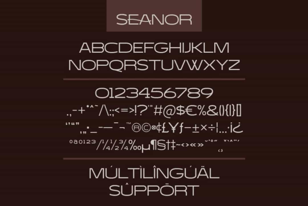 Seanor Font Image 3