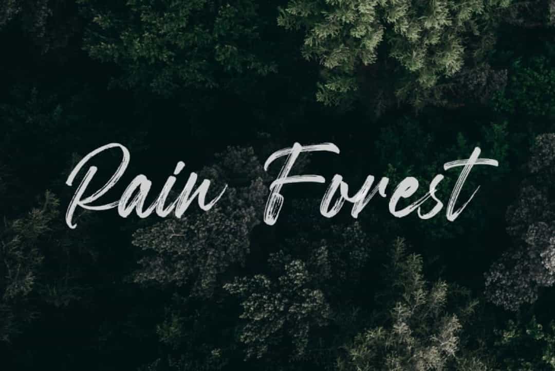 Garland Font Image 2