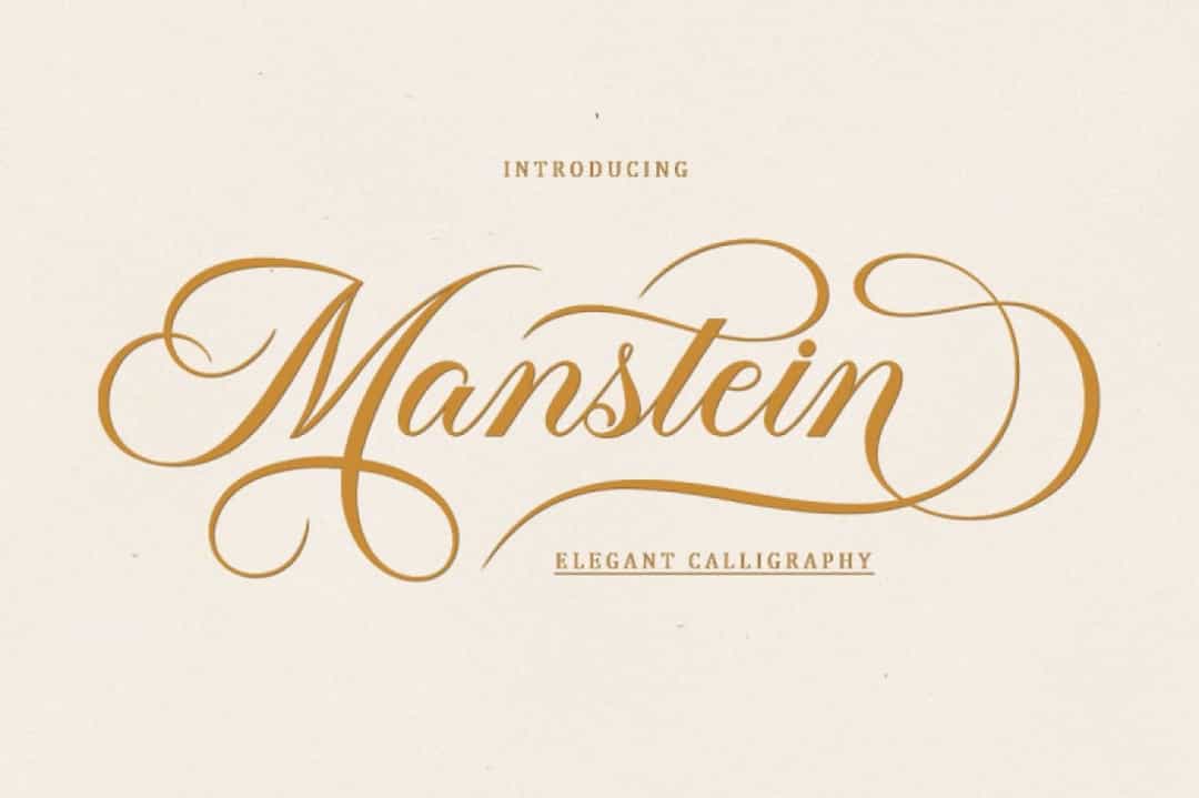 Manstein Font Image 1