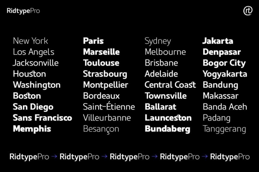 Ridtype Pro Font Image 2