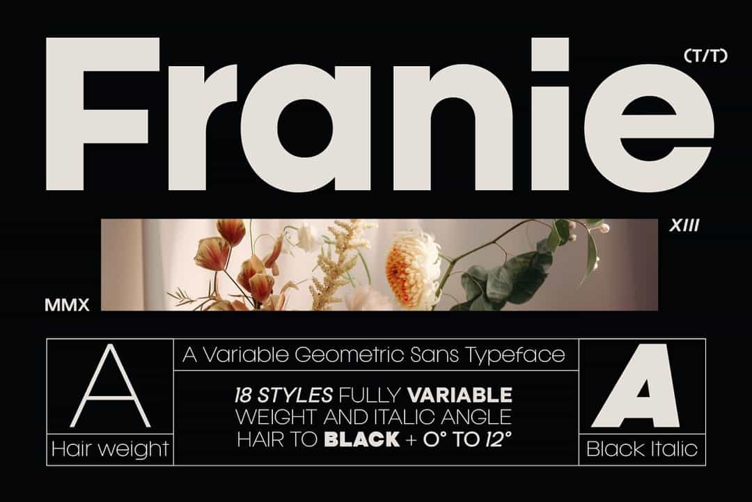 Franie Font Image 1