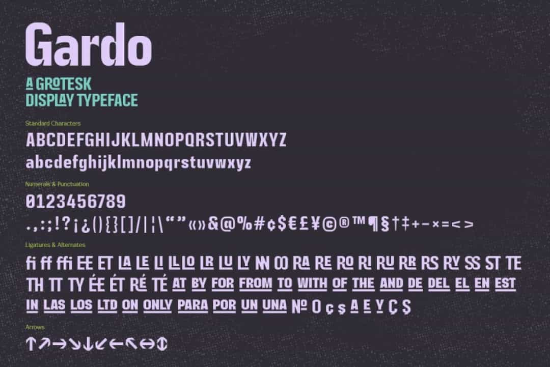 Gardo Grotesk Font Image 3