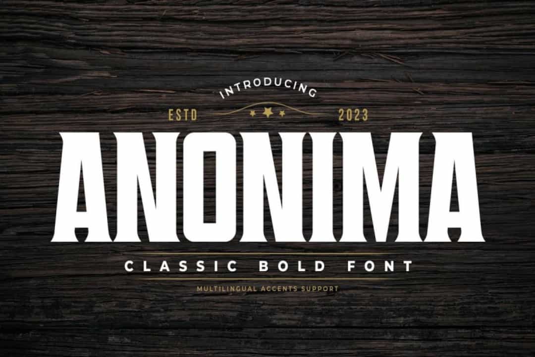 Anonima Font Image 1