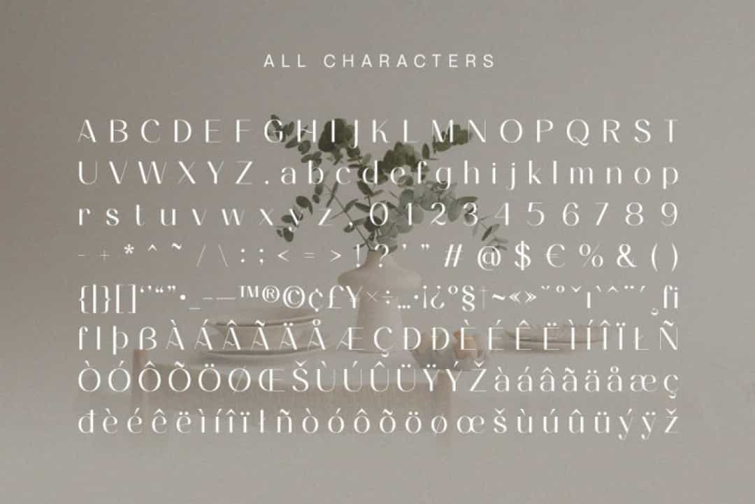 Ameda Font Image 3