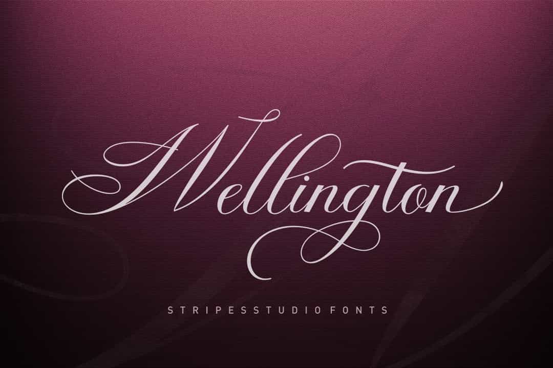 Wellington Script Font Image 1
