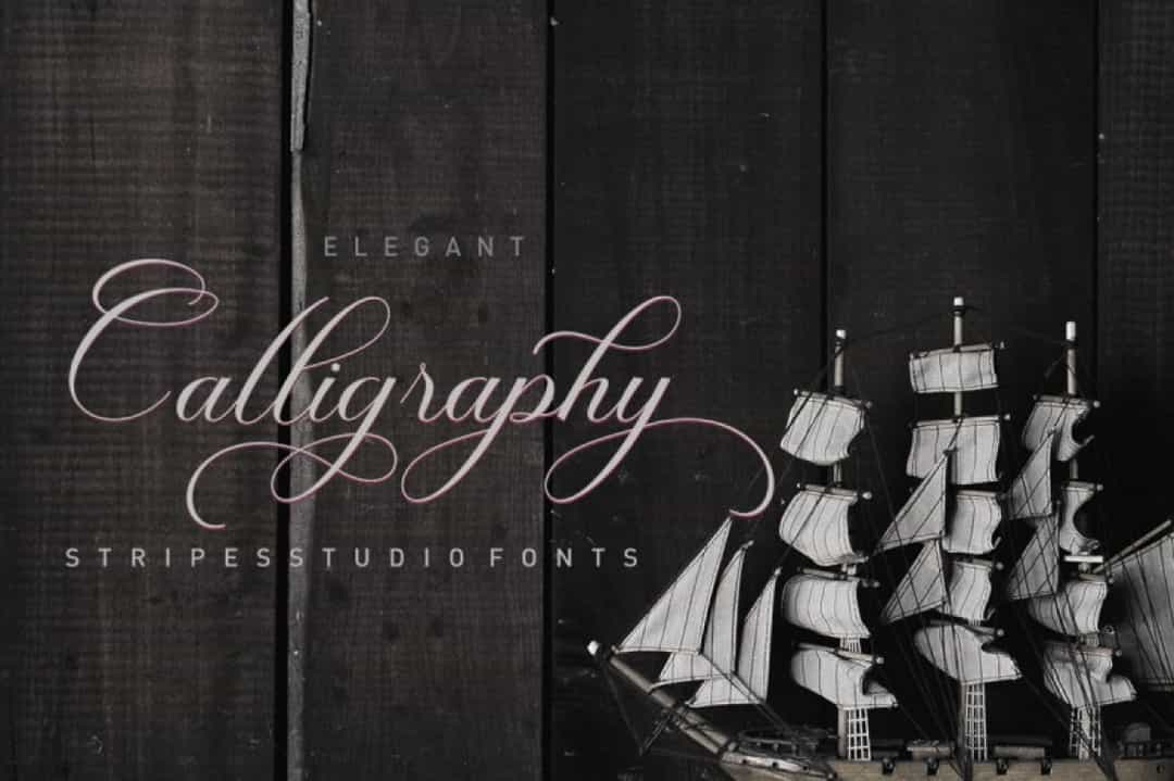 Wellington Script Font Image 2