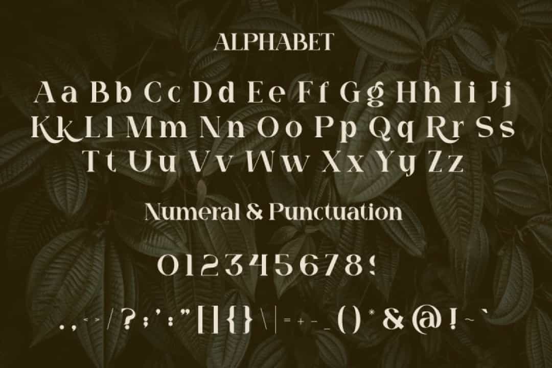 Quagi Font Image 3