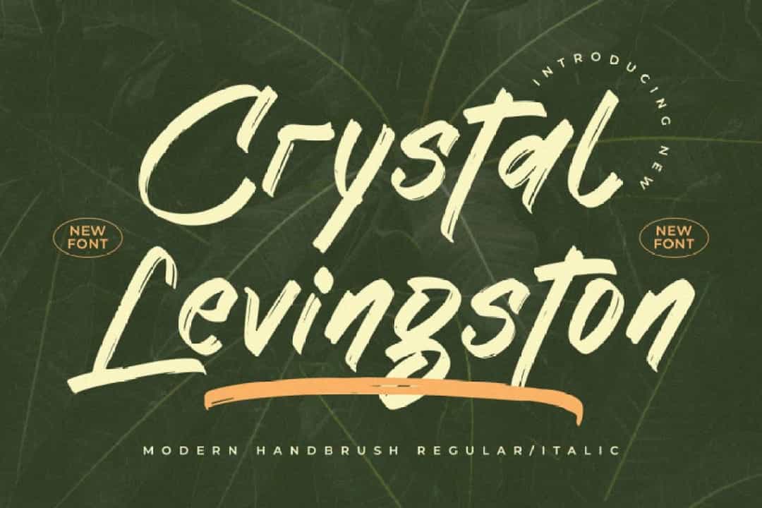Crystal Levingston Font Image 1