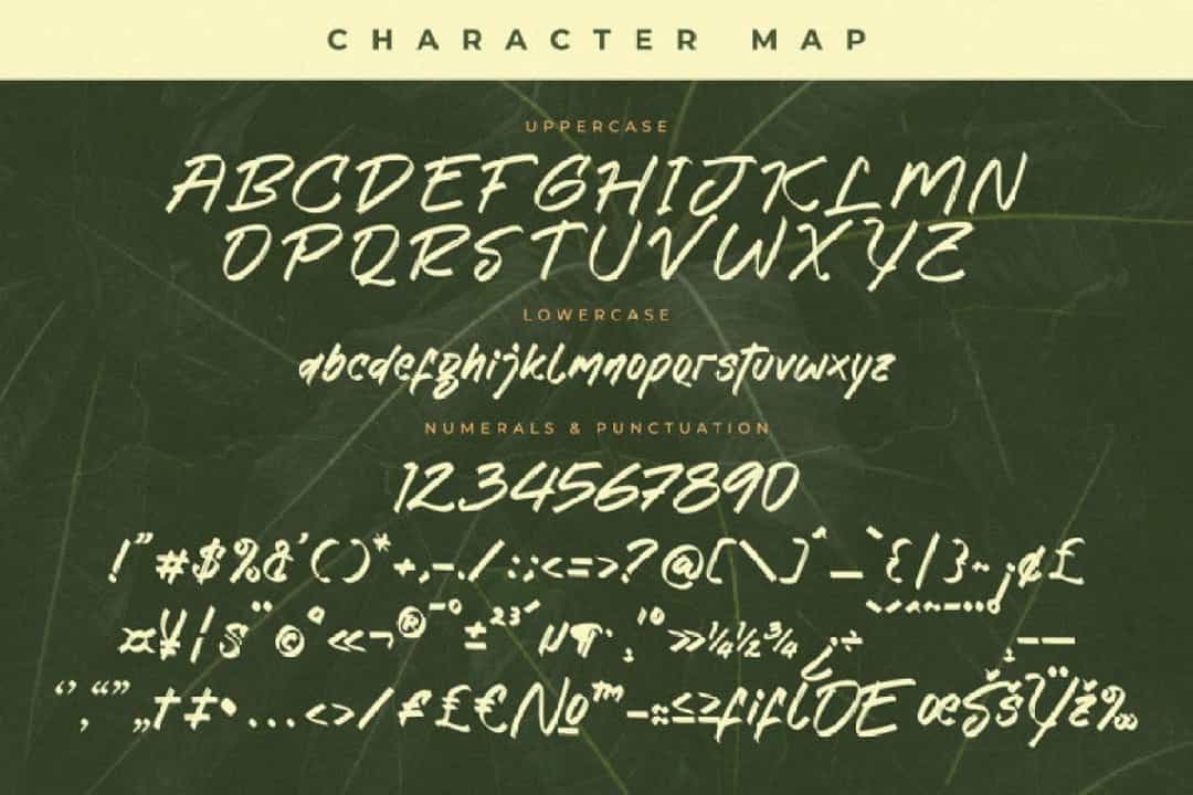 Crystal Levingston Font Image 3