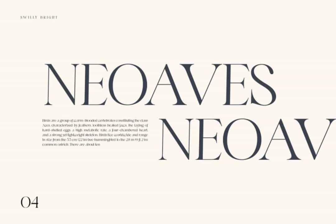 Swily Bright Font Image 2