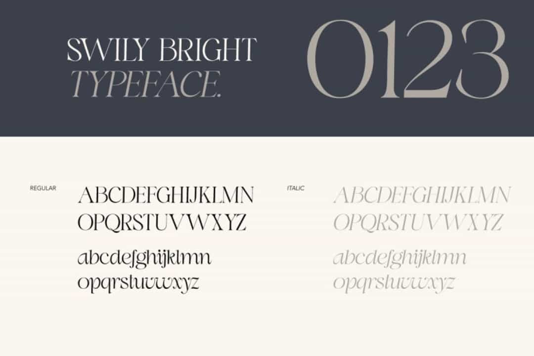 Swily Bright Font Image 3
