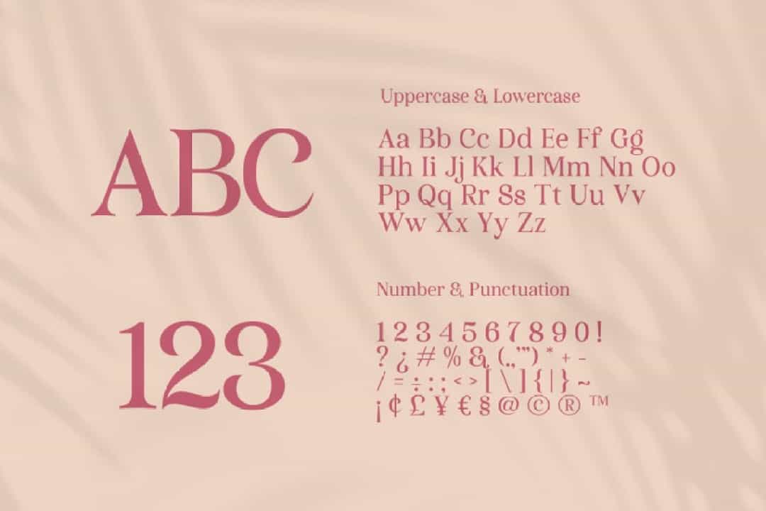 Velparde Janeiro Font Image 3