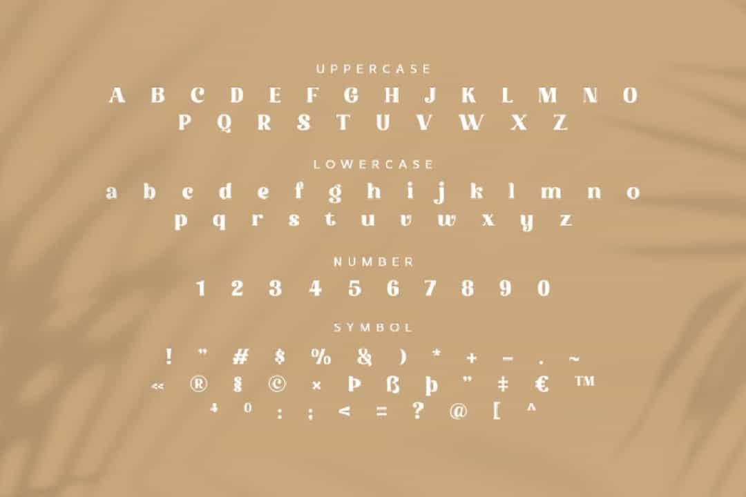Molendra Font Image 3