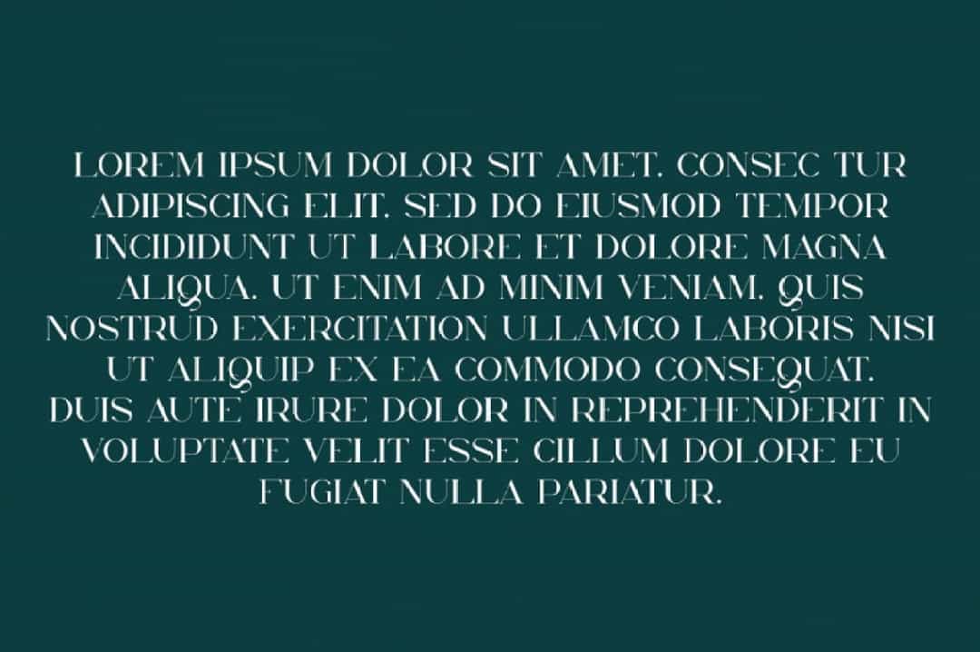 Delanie Font Image 2